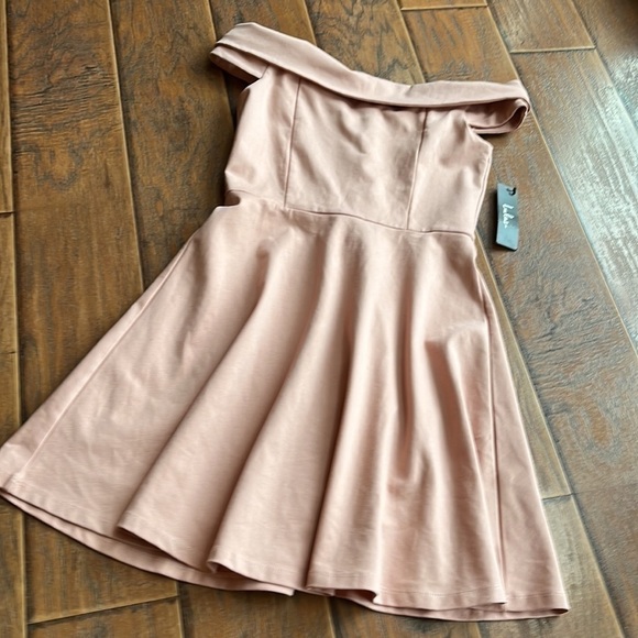 - NWT Lulus blush Off the Shoulder Skater Dress - Size Medium - Picture 6 of 16